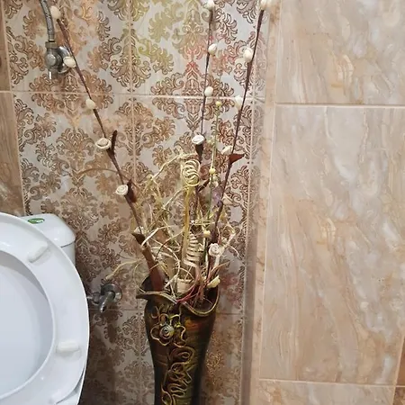 Apartament Wild Walnut *