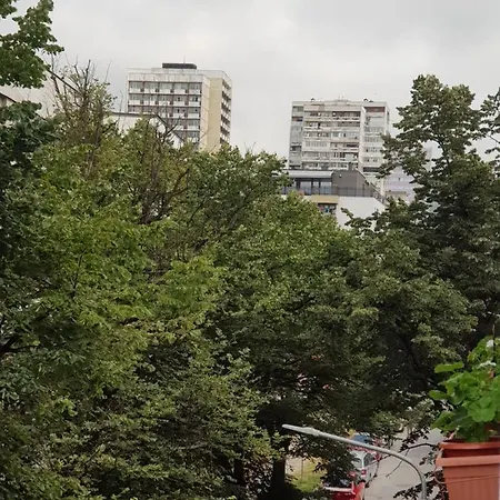 Wild Walnut Apartament