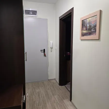 Apartment Wild Walnut Warna