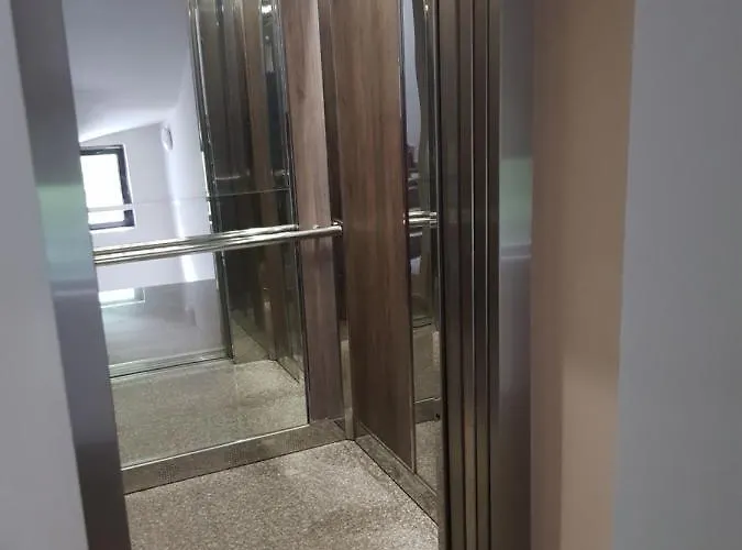 Apartment Wild Walnut